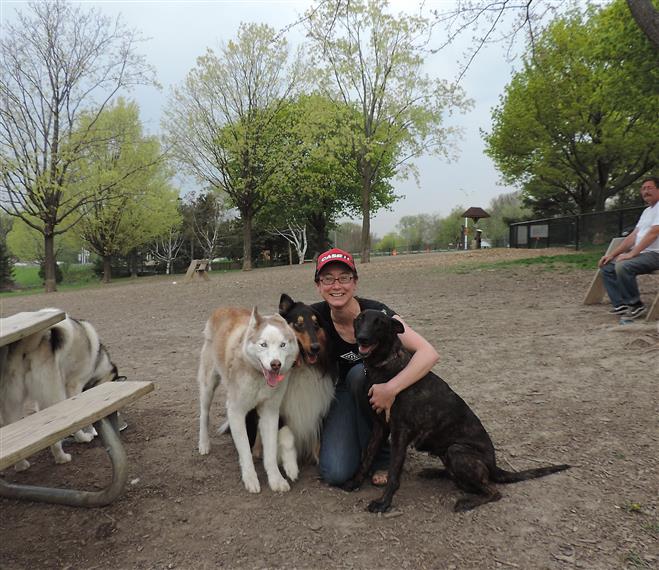 Danielle Gibeault of Wauwatosa plays with (from left) Zakk, Vanya and Mischka at the Curry Park Dog Exercise Area.