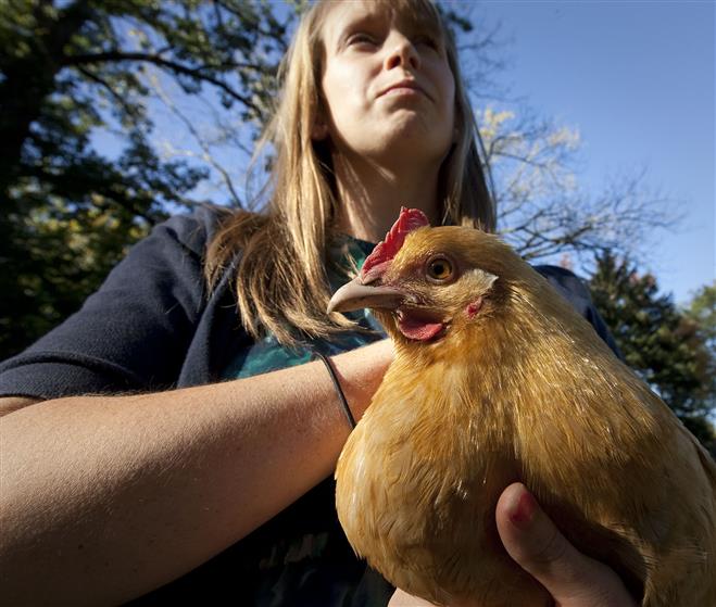 Lisa Fowler holds one of her chickens in her backyard.