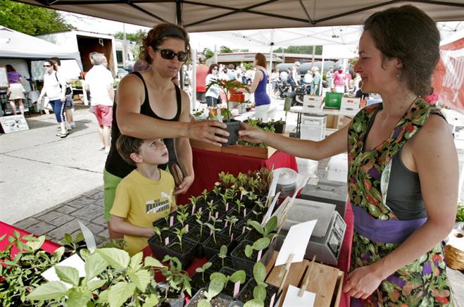 At last year’s farmers market, Jess and Keenan Taylor (left) shop for a tomato plant from Kelly Kiefer of the Three Sisters Community Farm of Campbellsport. The market returns June 7.