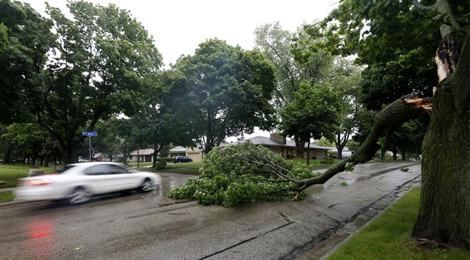 A car attempts to get around a tree that fell across Wells Street at 75th Street on Monday, June 30. The storm that caused all the downed trees took out power for about 790 Tosa residents.