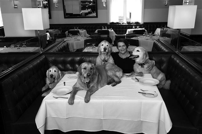 Jennifer Bartolotta, who runs a business called The Lavender Leash, which provides safe, high-quality products for dogs, is shown in a portrait by Stephanie Bartz. The dog on the table, Izzy, climbed there spontaneously during the shoot, Bartz said.