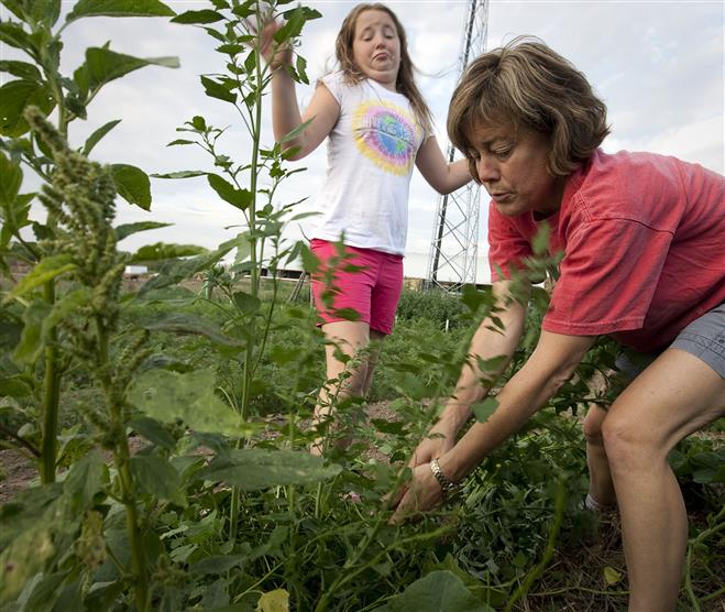 First Congregational Church volunteer Caitlin Connor, 8, makes a face as her mother, Sue Connor of Brookfield, pulls weeds from a garden in Sussex. Produce grown by the congregation is donated to Feed America.